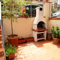 CECINA MARE, bel 4vani ben arredato, corte esclus