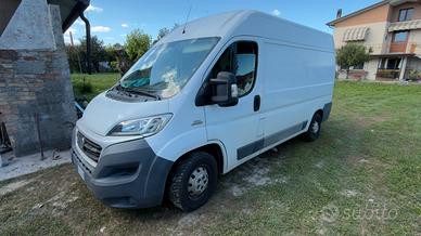 Fiat ducato maxi