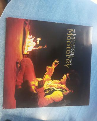 vinile Live at Monterey - Jimi Hendrix Experience