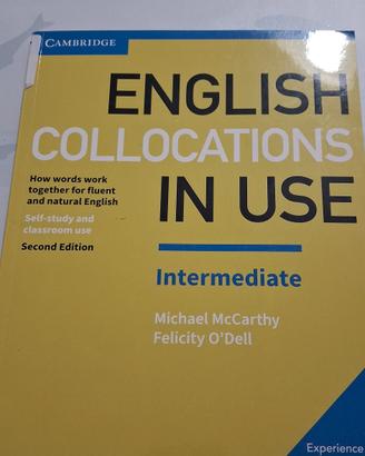Libri Lingua e Linguistica Inglese - UniPA (L-11)