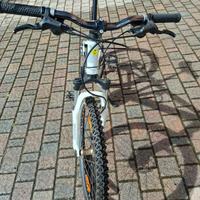 mtb 24 pollici