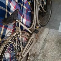 bicicletta d'epoca insuperabile 
