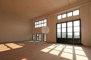 CAPANNONE A RIVOLTA D'ADDA