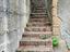 Immagine 6
