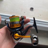 Daiwa Revros 1000 LT