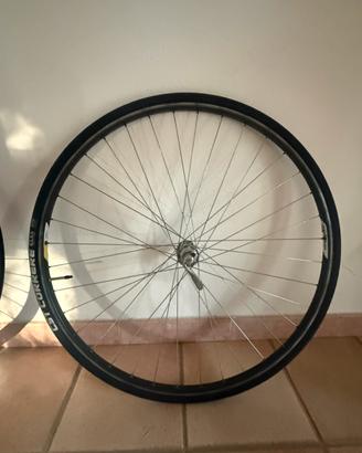 Cerchio campagnolo
