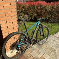 Specialized stumpjumper élite wc