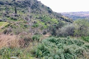 Terreno - Castelmola