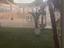 Immagine 6