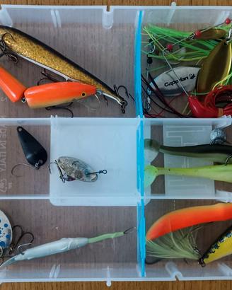 Lotto Esche Spinning (15+ pezzi) - Rapala, Spinner