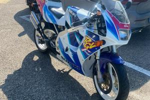 Suzuki rgv 250