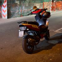 Aragon  gp 50 perfetto