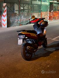 Aragon  gp 50 perfetto