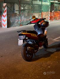 Aragon  gp 50 perfetto