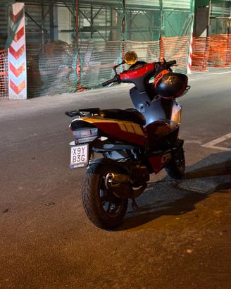 Aragon  gp 50 perfetto