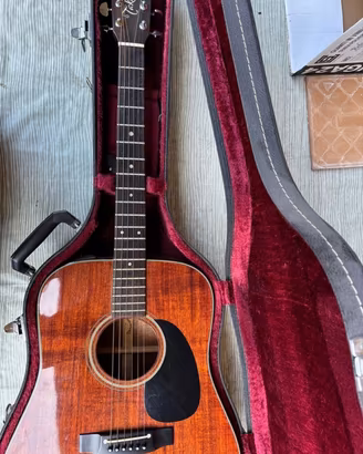 Takamine Dreadnought Mogano