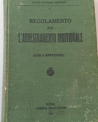 Regolamento per l'addestramento individuale 