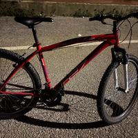 bici montagna bike