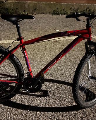 bici montagna bike