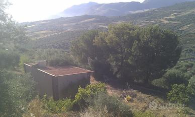 Terreno agricolo con rustico