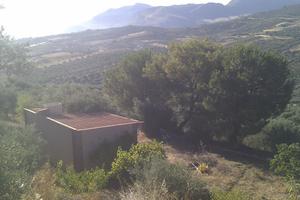 Terreno agricolo con rustico