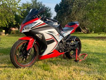 Kawasaki ninja 300 del 2013