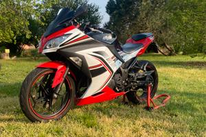 Kawasaki ninja 300 del 2013