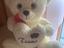 Immagine 1