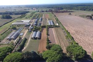 Terreno agricolo edificabile