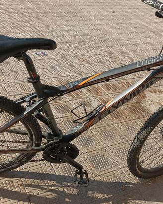 bici cobra, usata pochissimo come nuova 