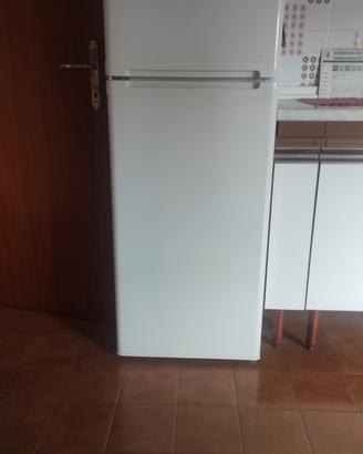 Frigorifero e lavatrice 