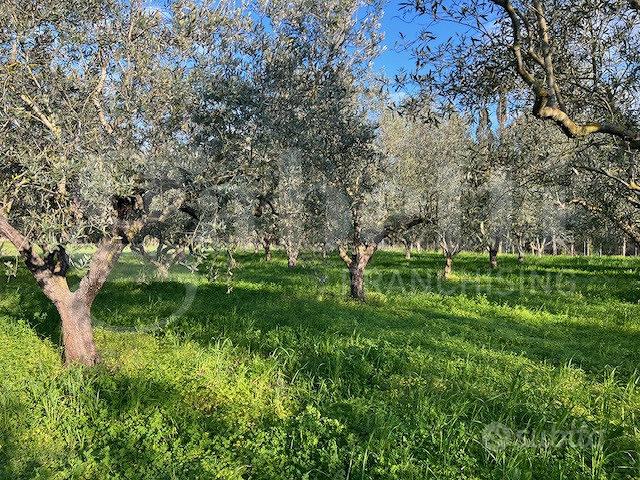 Villa singola Oristano [Cod. rif 3304378VRG] - Altro