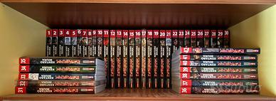 Berserk completo