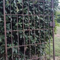 Cancello in ferro da esterno o antintrusione 