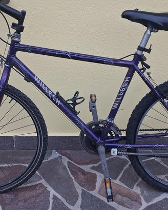 Bici mountain bike