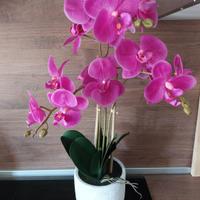 Orchidea fucsia finta decorazione casa