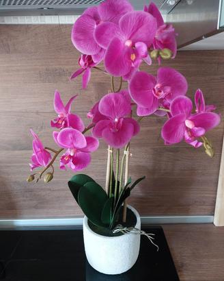 Orchidea fucsia finta decorazione casa