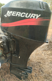Mercury 40 CV 4 tempi a carburatori