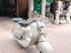 Immagine 3