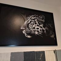 Quadro stampa ghepardo