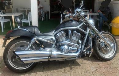 Harley Davidson VROD