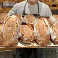 Panettere