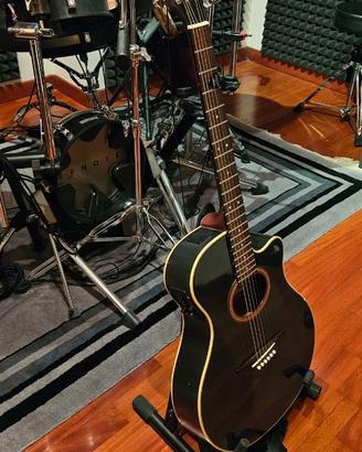 Yamaha Apx 4a