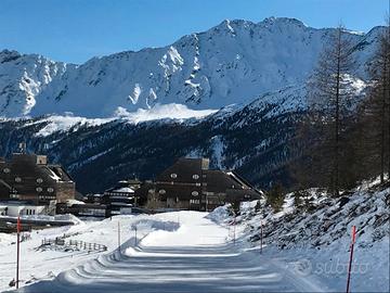 Appartamento 4 posti letto Val Senales LAST MINUTE