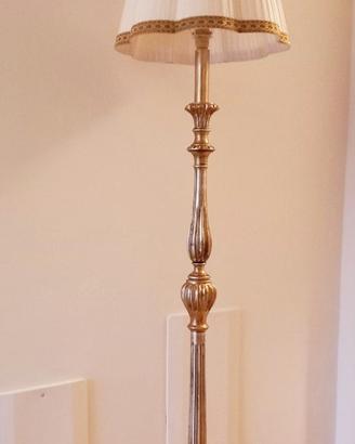 PIANTANA ELEGANTE DI MALTINTI RENZO