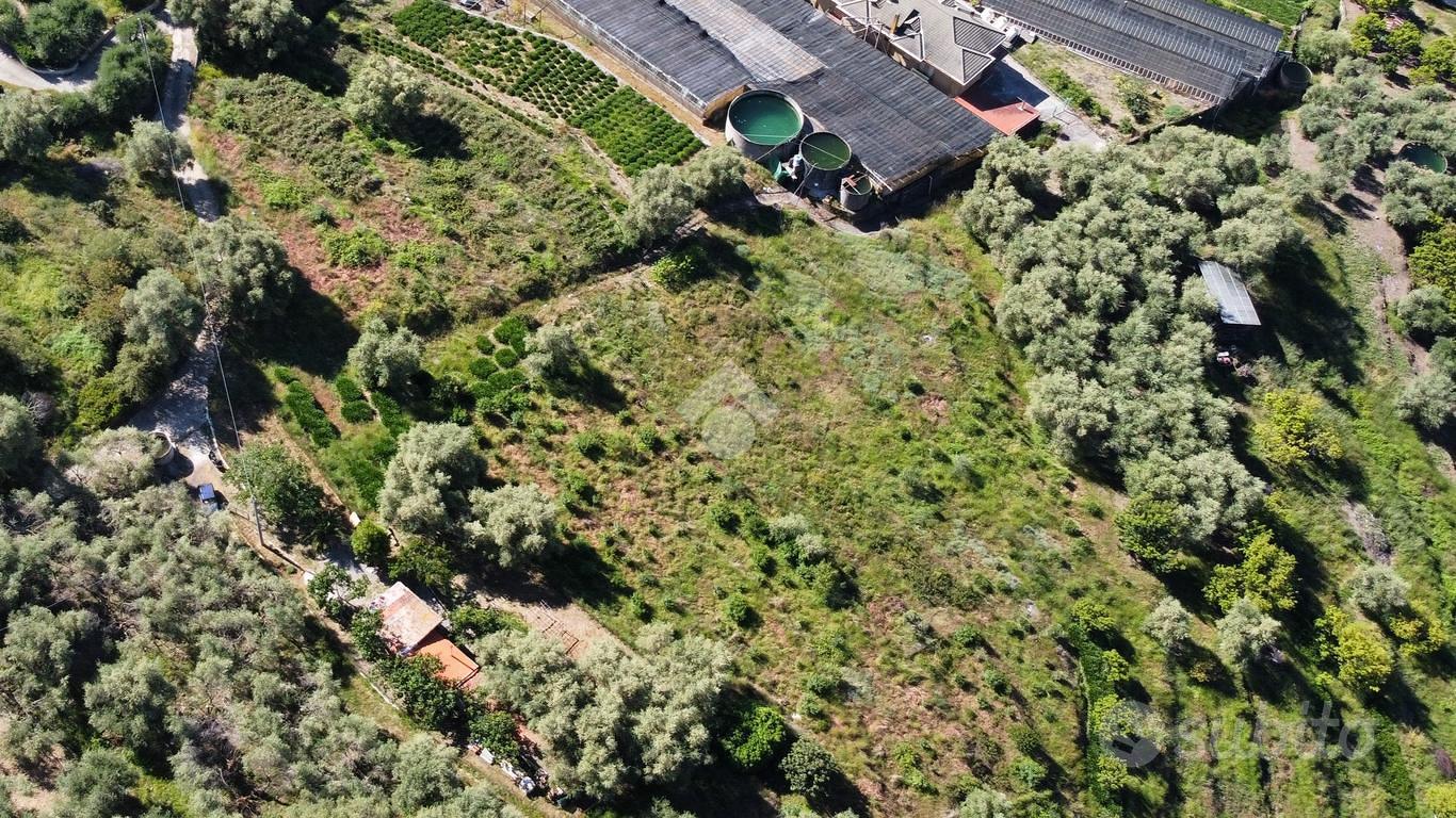 RUSTICO A PERINALDO - Vista 6