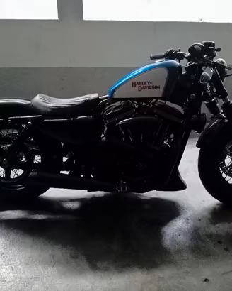 Harley Davidson SPECIAL su base Forty Eight
