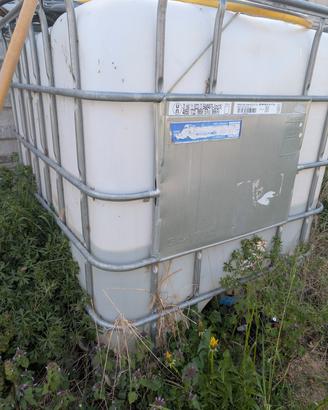 serbatoio 1000 litri per acqua 