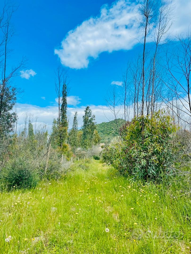 Ampio terreno - Vista 5