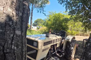trattore lamborghini  503 dts 